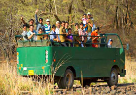 Ranthambore Jeep Safari Booking