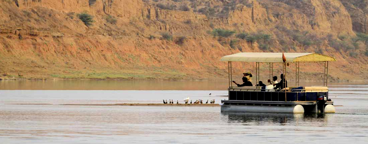 Chambal Safari Booking